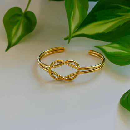 Infinity Bond