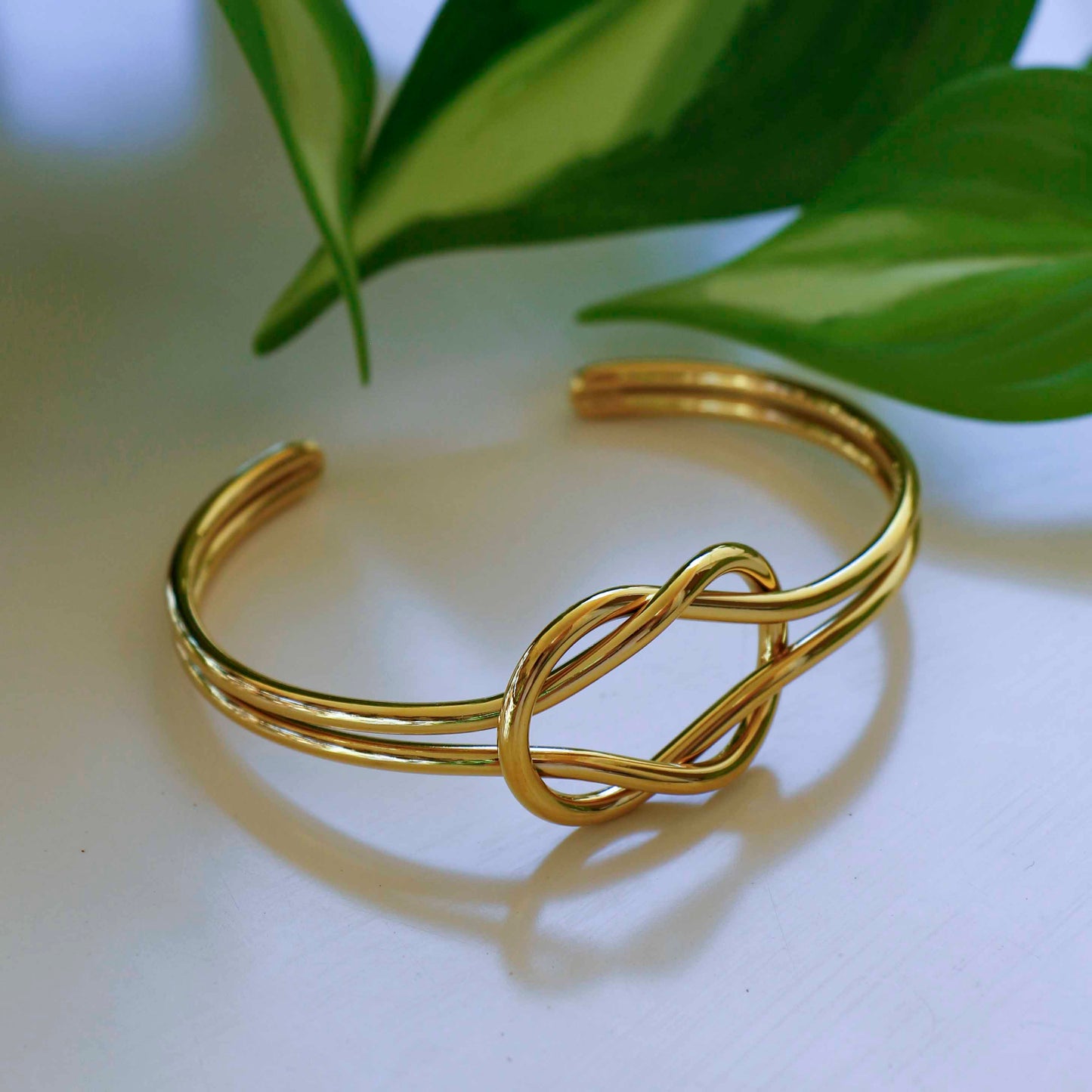 Infinity Bond