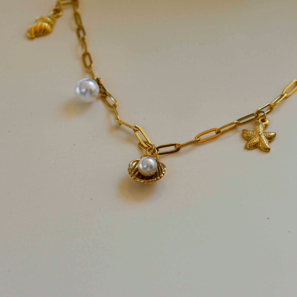 Sea Treasures